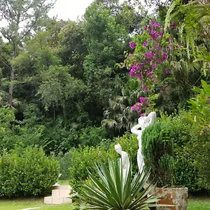 Apartamento Domus Espaço In Sol E Natureza, Blumenau